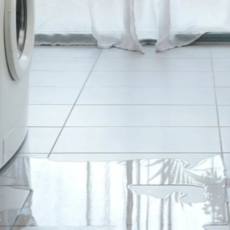 Appliance Leak Cleanup in Scott County, VA