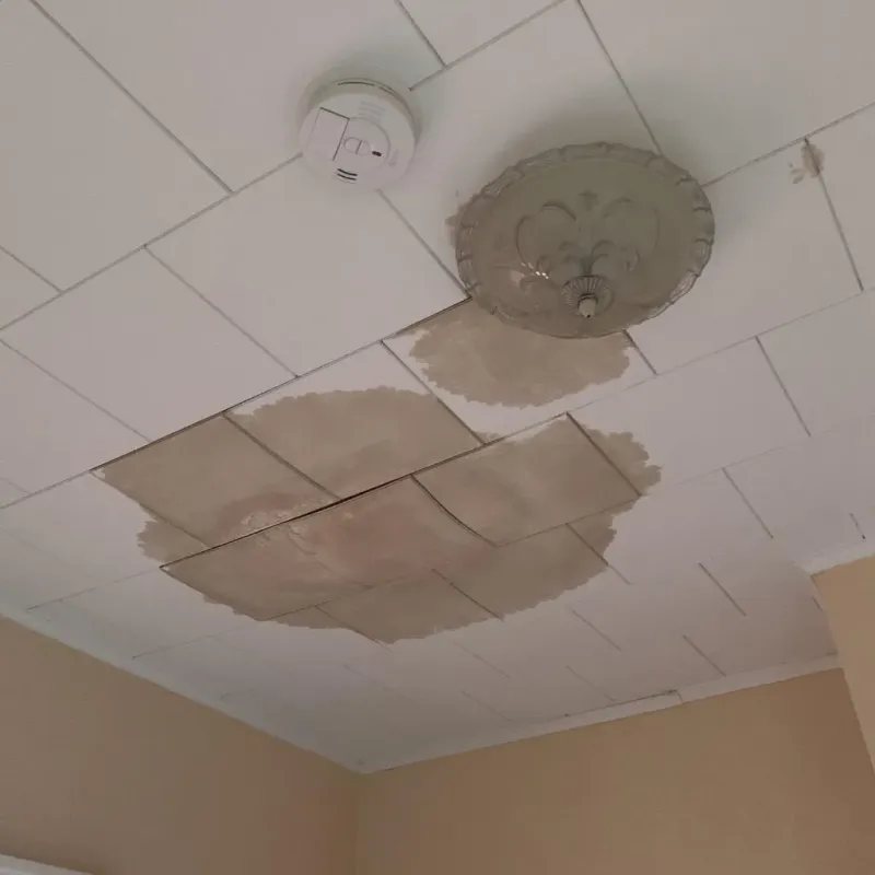 Ceiling Water Damage Repair in Scott County, VA