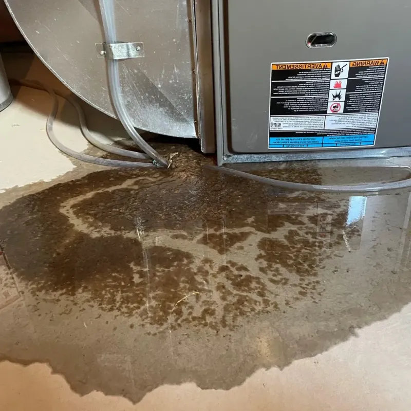 Pipe Burst and Leak Restoration in Scott County, VA