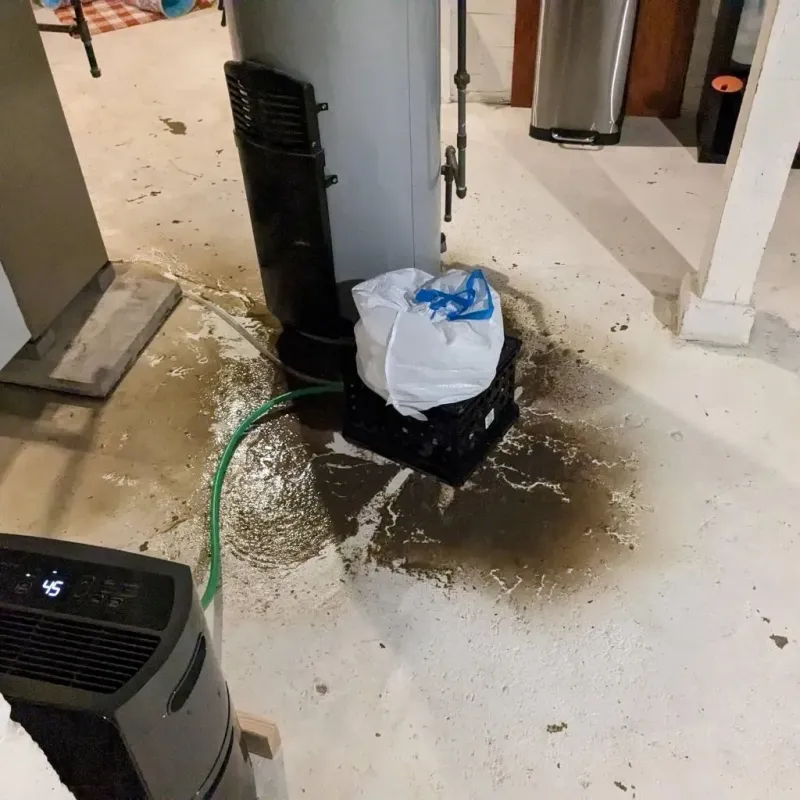 Sewage Backup Cleanup Service in Scott County, VA